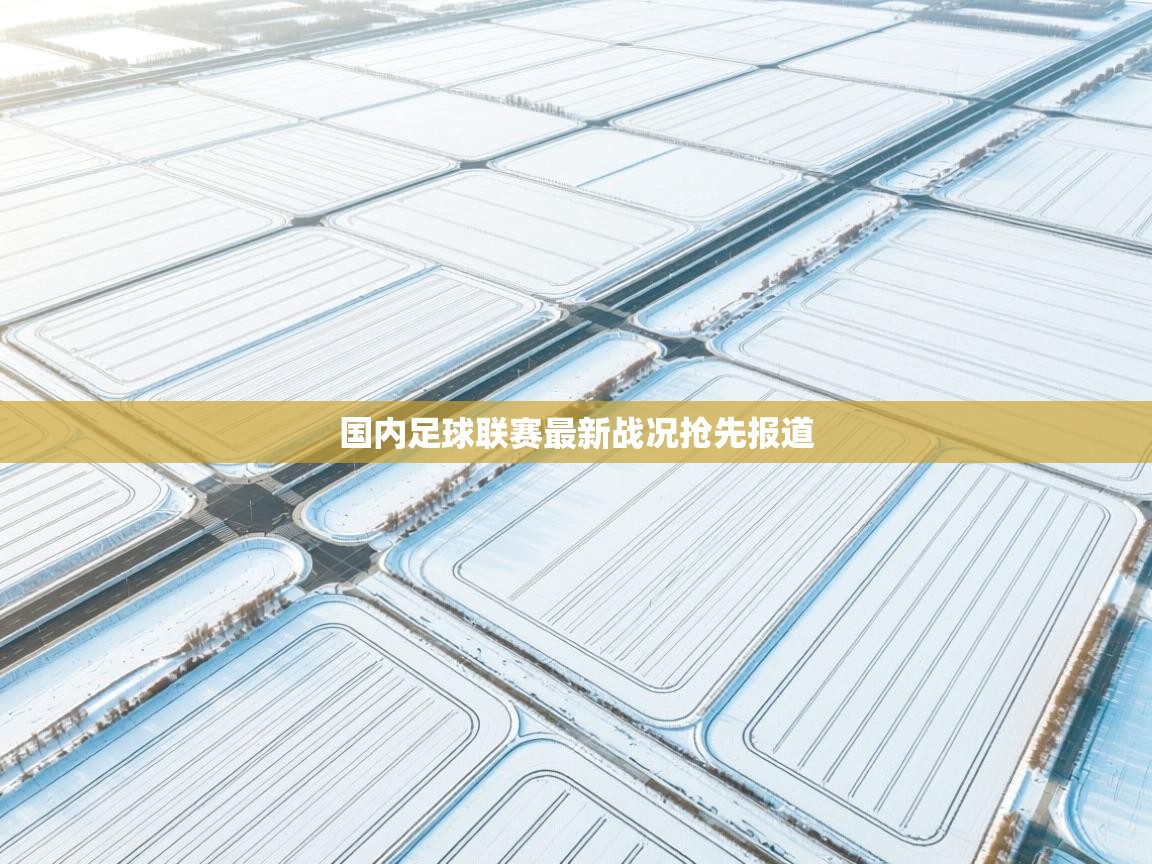 开云体育app登录入口-国内足球联赛最新战况抢先报道 第1张