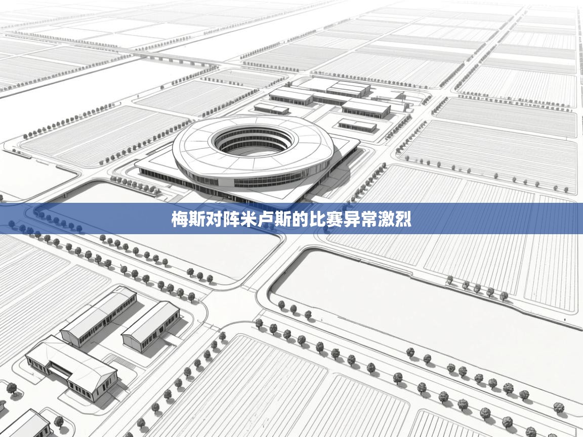 开云体育实名认证入口-梅斯对阵米卢斯的比赛异常激烈  第2张