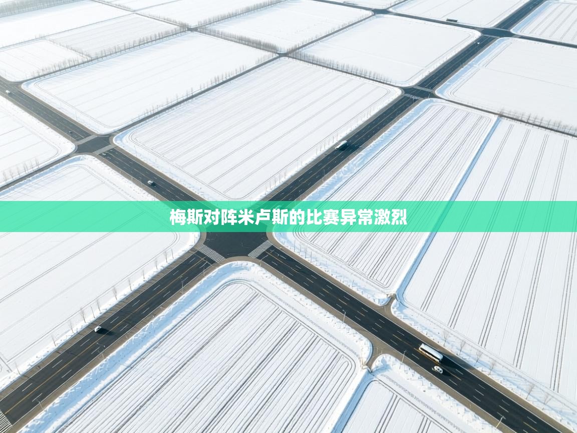 开云体育实名认证入口-梅斯对阵米卢斯的比赛异常激烈  第3张