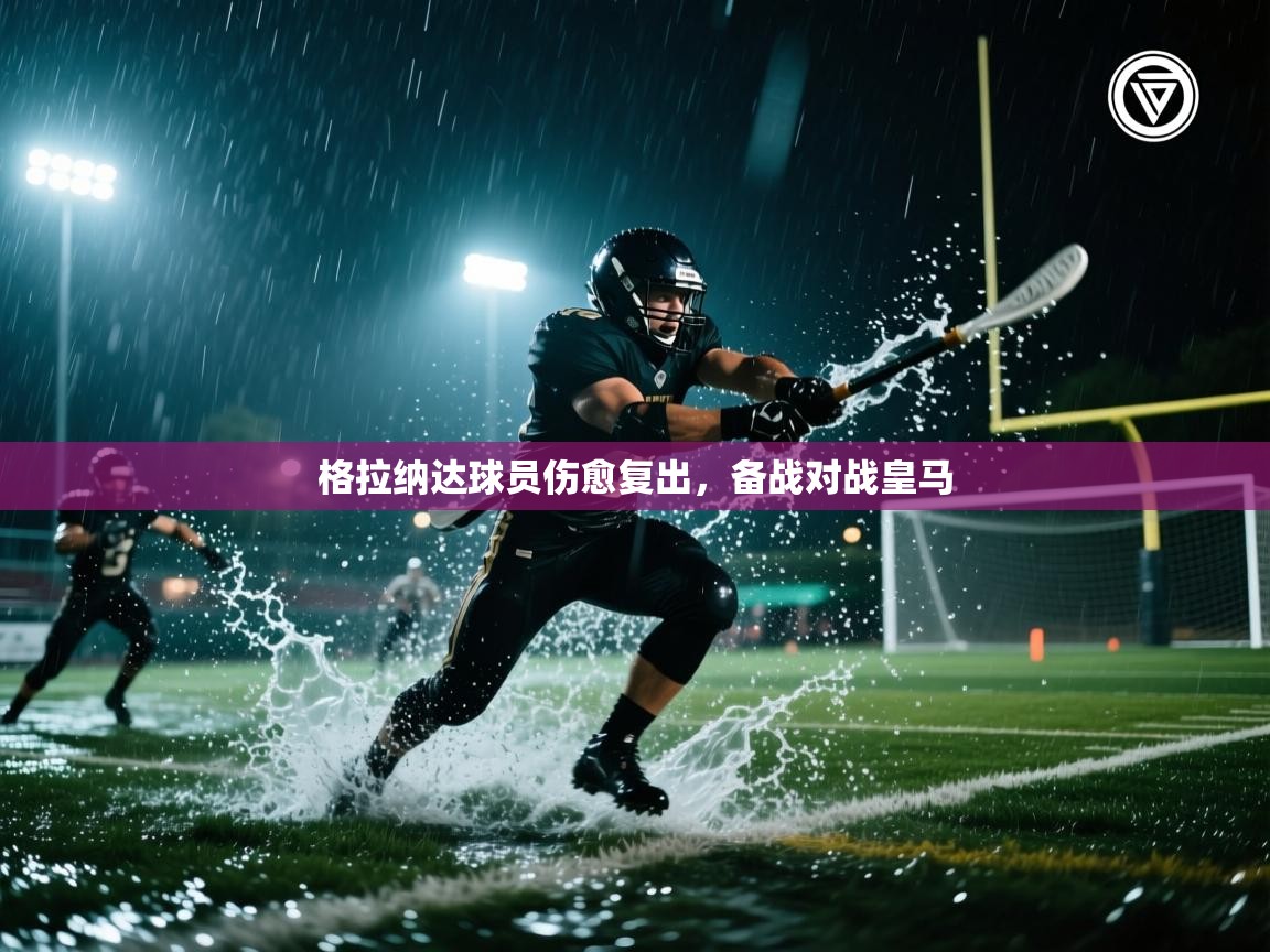 开云体育直播平台-格拉纳达球员伤愈复出，备战对战皇马  第2张